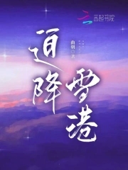 迫降雪港小说txt全本