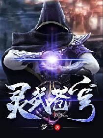 灵武苍穹 聚合中文网