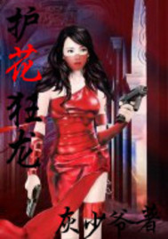 护花狂龙听书全集免费