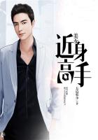 美女的近身高手 小说