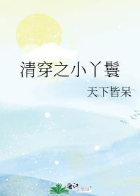 清穿之小丫鬟格格党小说