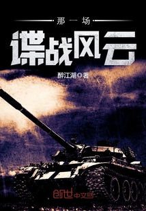 那一场谍战风云TXT下载